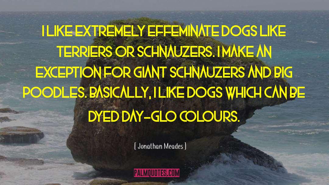 Poodles quotes by Jonathan Meades