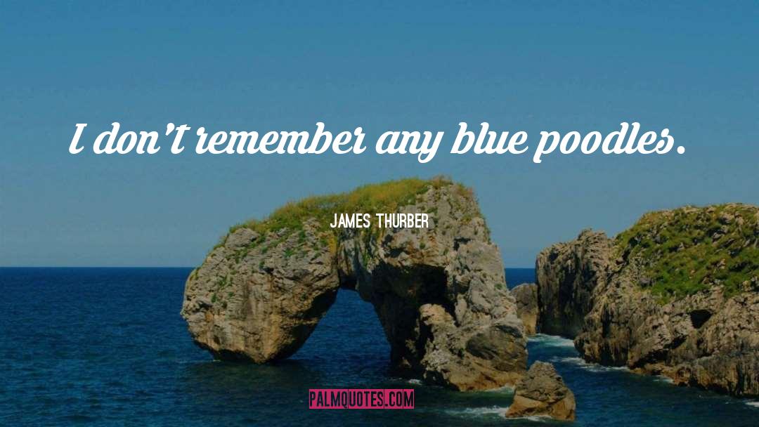 Poodles quotes by James Thurber