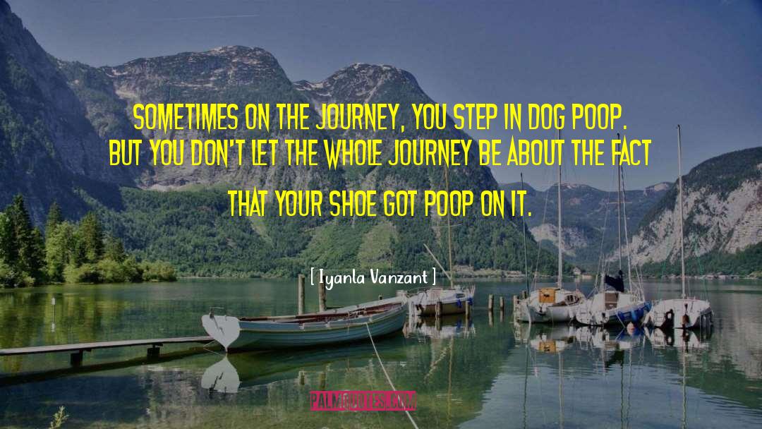 Poop quotes by Iyanla Vanzant