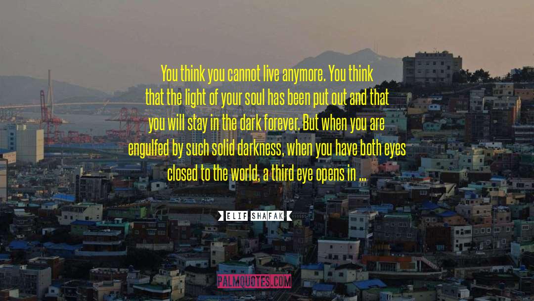 Poor Eyesight quotes by Elif Shafak