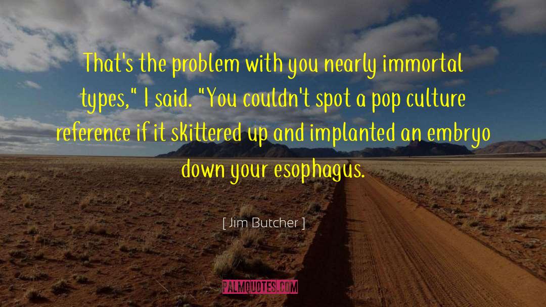 Pop Culture Reference quotes by Jim Butcher