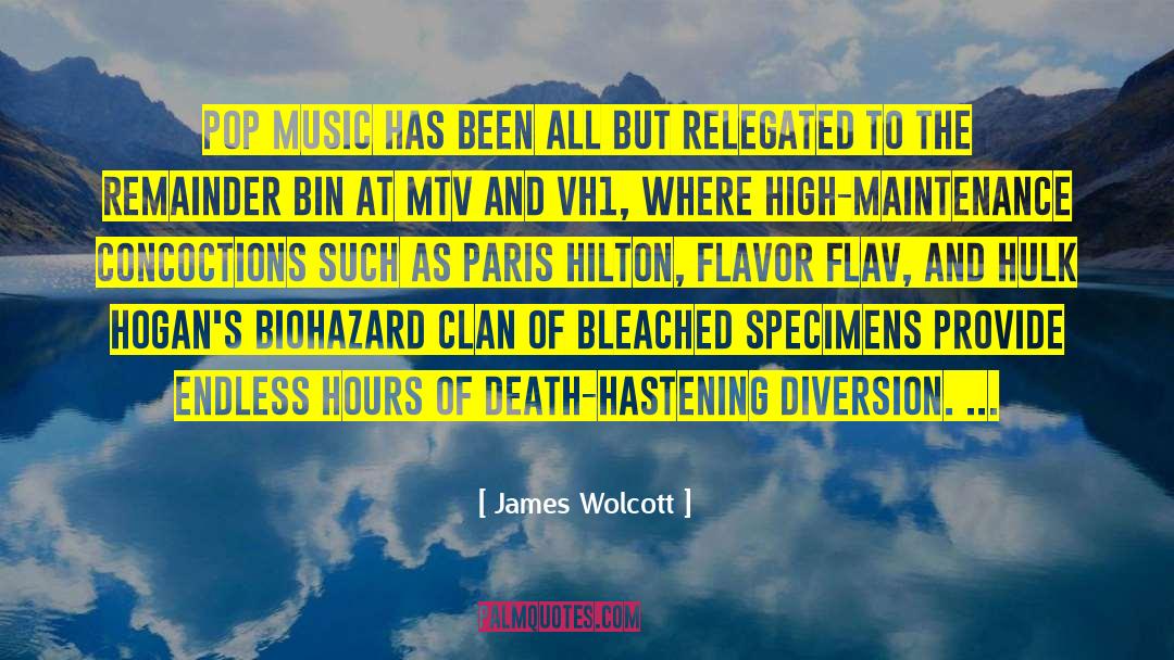 Pop Music quotes by James Wolcott