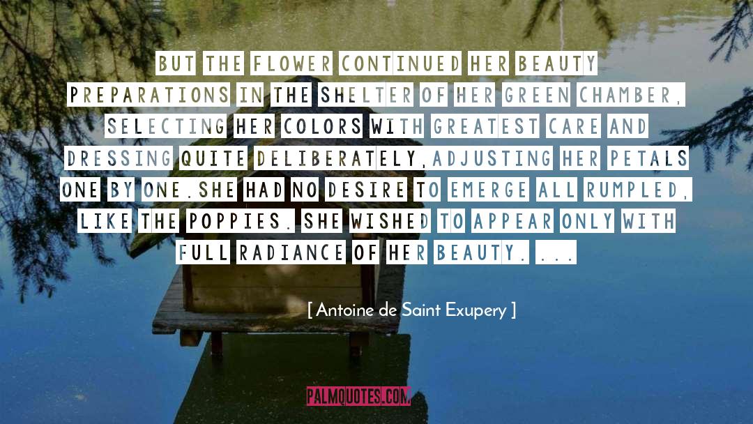 Poppies quotes by Antoine De Saint Exupery