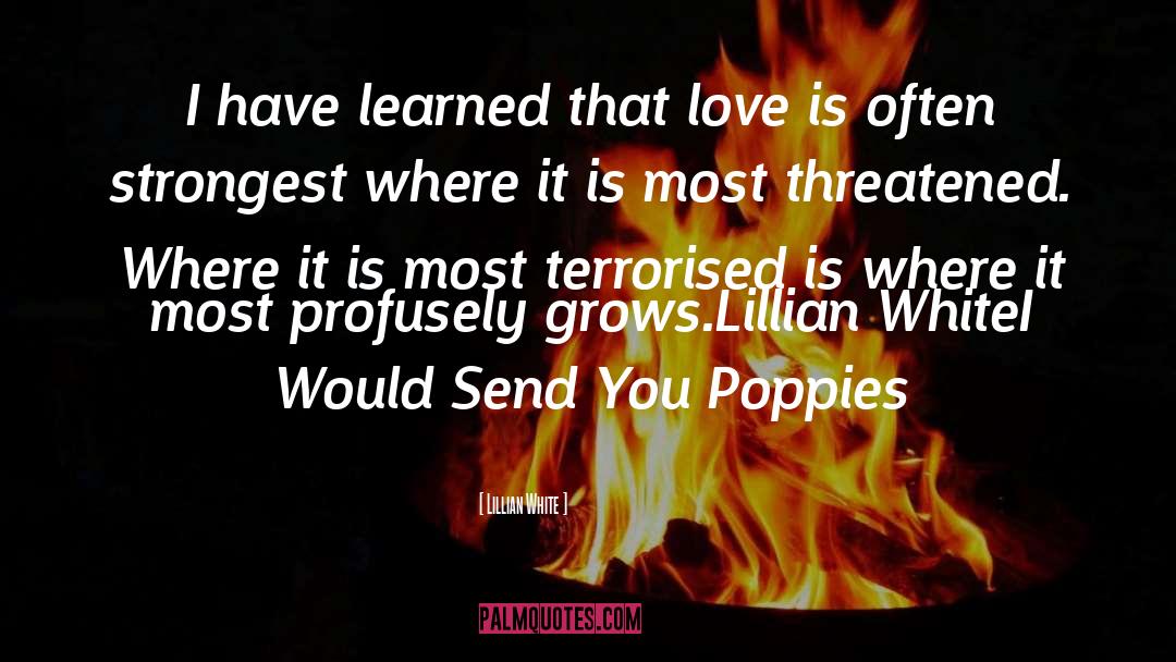 Poppies quotes by Lillian White