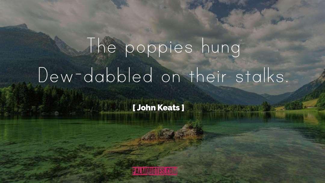 Poppies quotes by John Keats