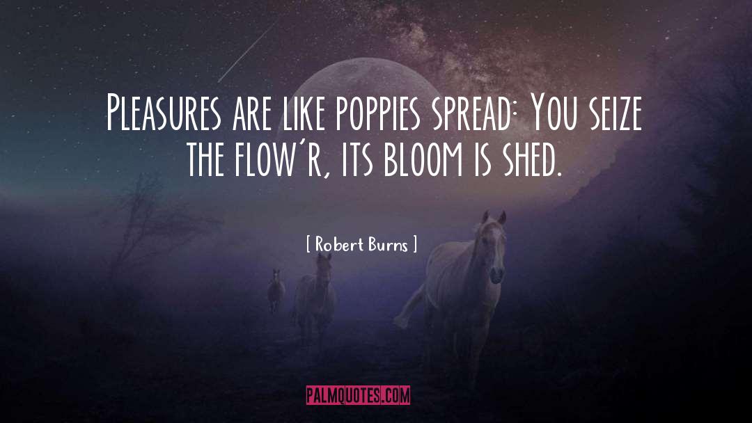 Poppies quotes by Robert Burns