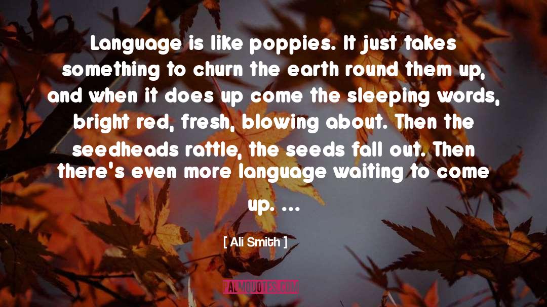 Poppies quotes by Ali Smith