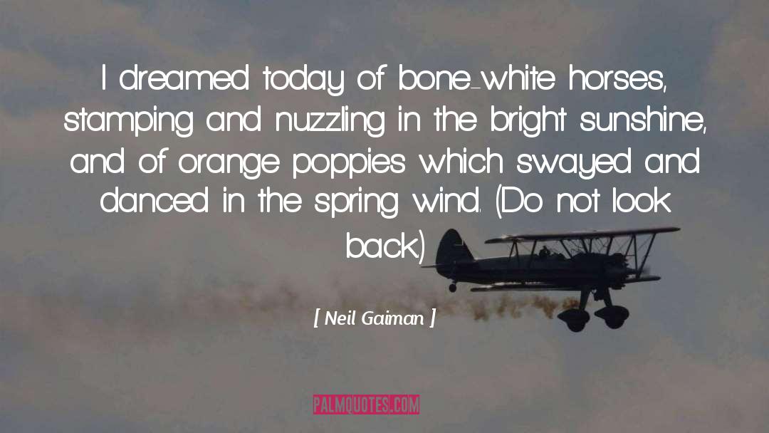 Poppies quotes by Neil Gaiman