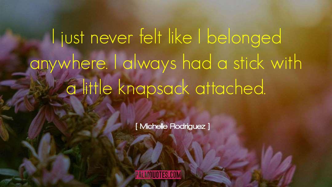 Popsicle Sticks quotes by Michelle Rodriguez