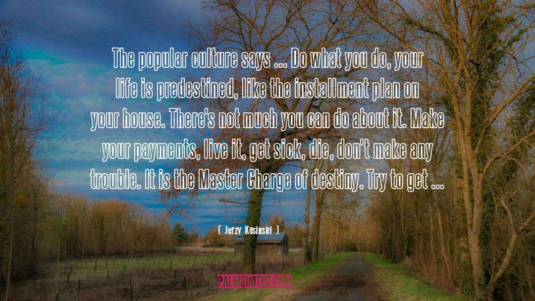 Popular Culture quotes by Jerzy Kosinski