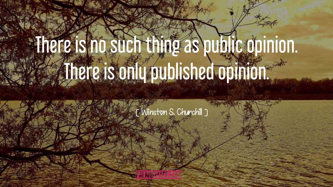 Popular Opinion quotes by Winston S. Churchill
