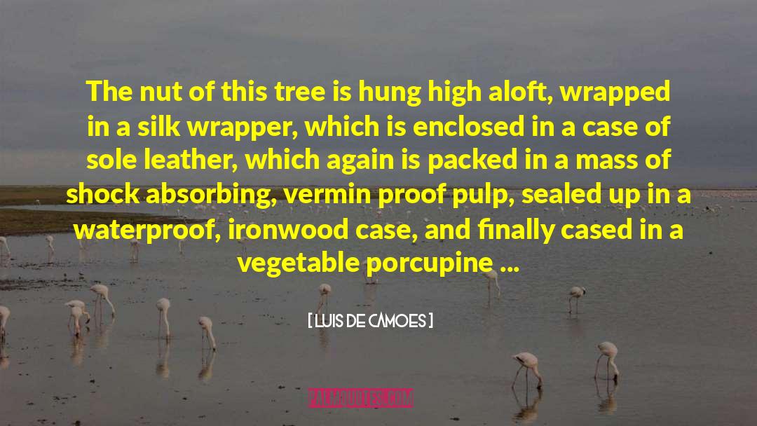 Porcupine quotes by Luis De Camoes