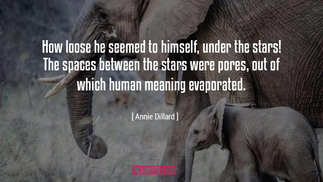 Pores quotes by Annie Dillard