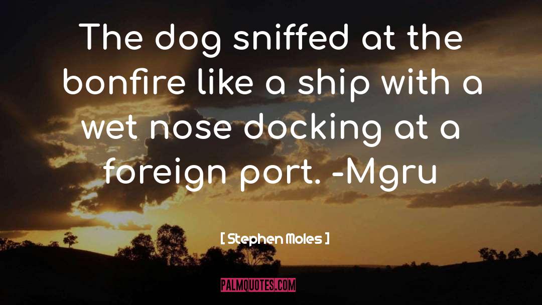 Port quotes by Stephen Moles