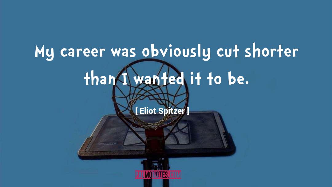 Positive Career quotes by Eliot Spitzer