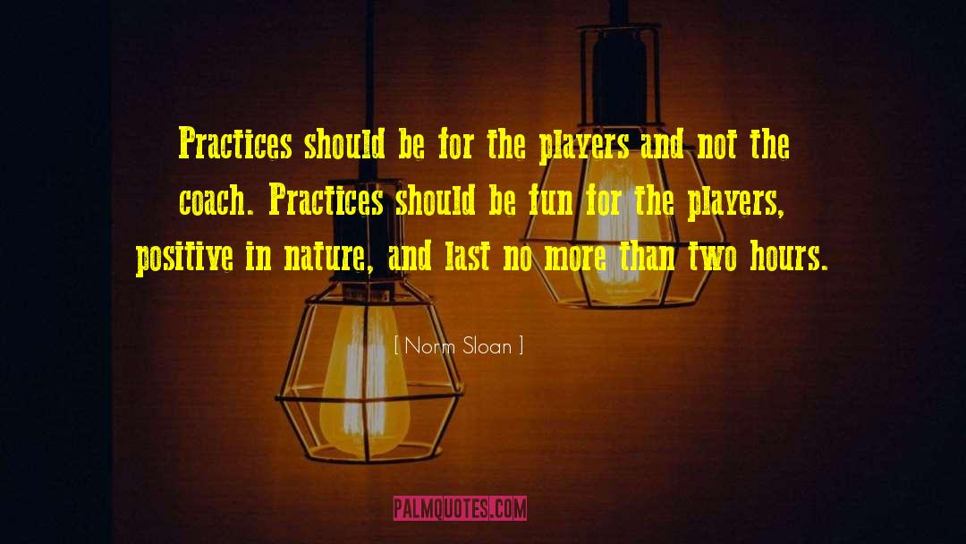 Positive Goals quotes by Norm Sloan