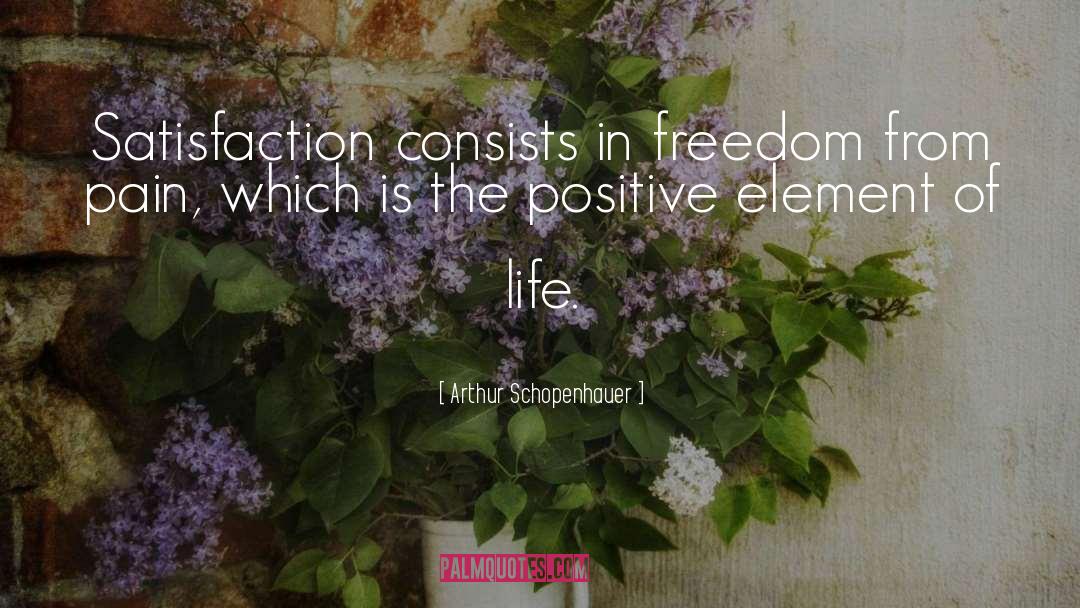Positive Life quotes by Arthur Schopenhauer