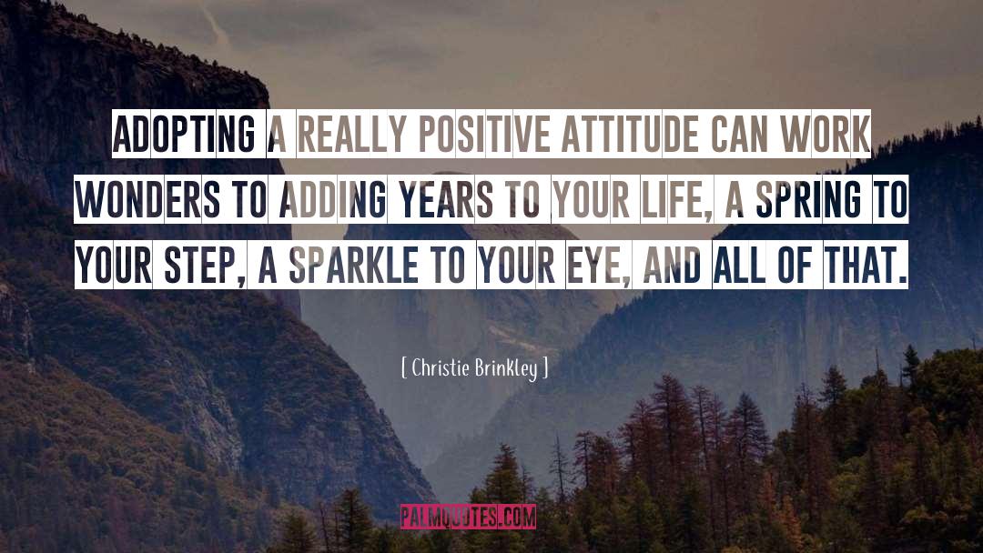 Positive Lifestyle quotes by Christie Brinkley