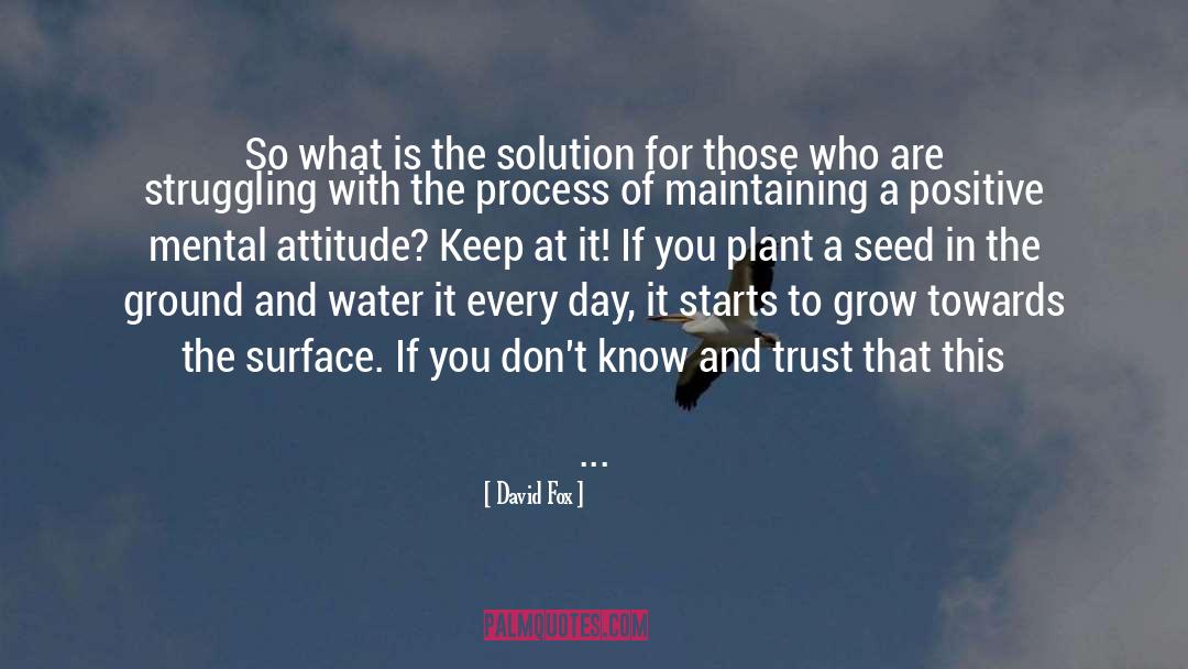 Positive Mental Attitude quotes by David Fox