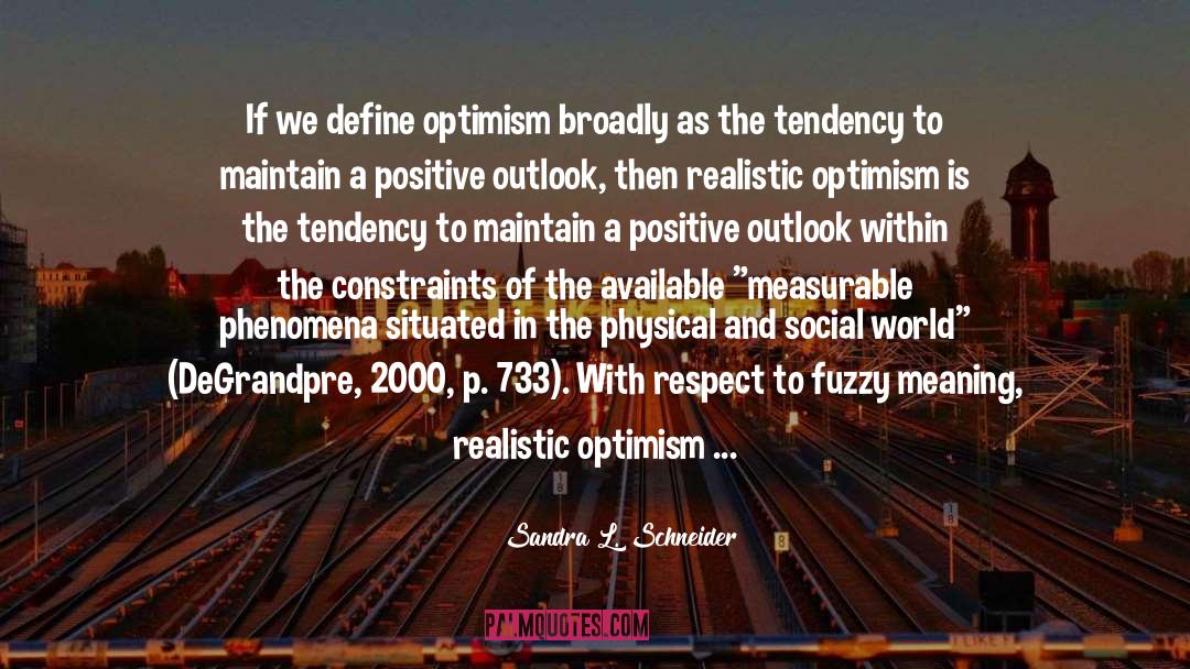 Positive Outlook quotes by Sandra L. Schneider