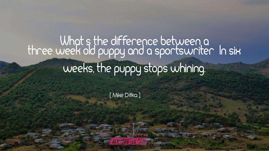 Positive Puppy quotes by Mike Ditka