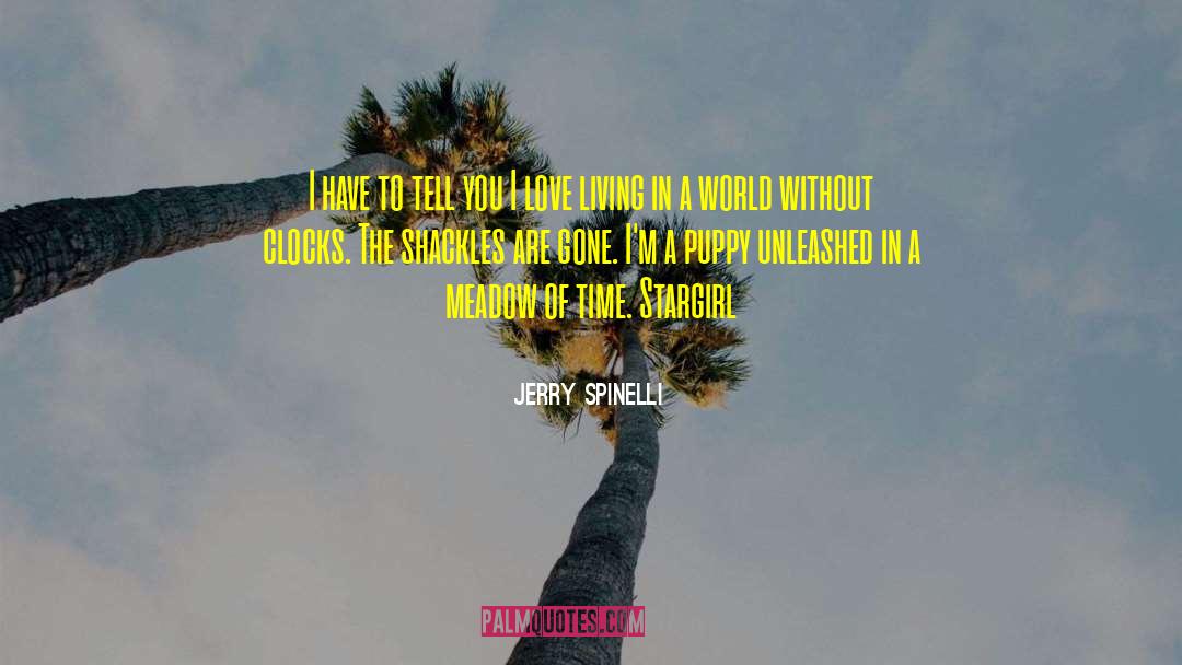 Positive Puppy quotes by Jerry Spinelli