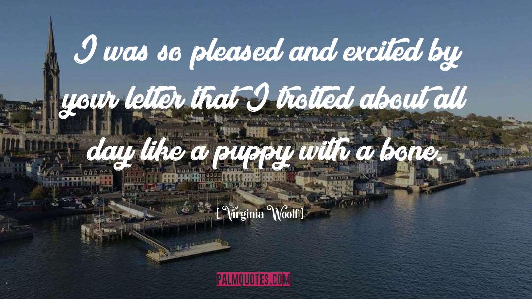 Positive Puppy quotes by Virginia Woolf