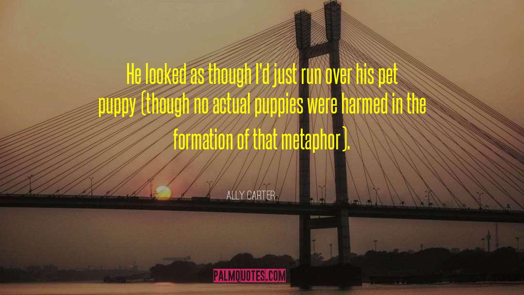 Positive Puppy quotes by Ally Carter