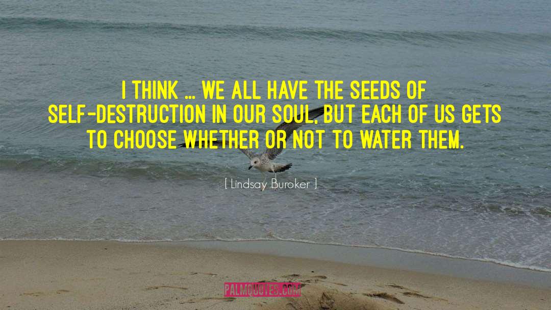 Positive Seeds quotes by Lindsay Buroker