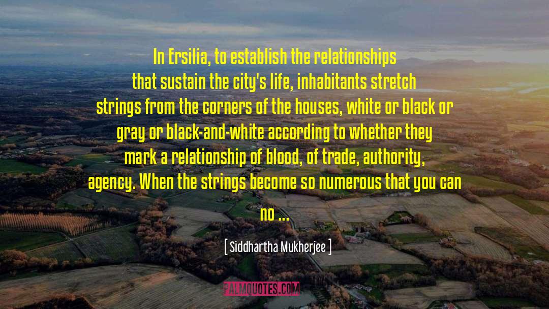 Positive Stretch Mark quotes by Siddhartha Mukherjee