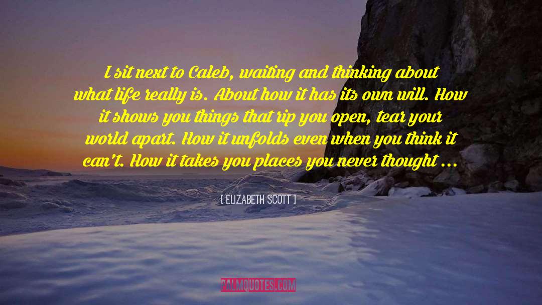 Positive Thought quotes by Elizabeth Scott