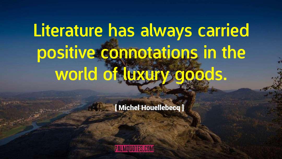 Positive Values quotes by Michel Houellebecq