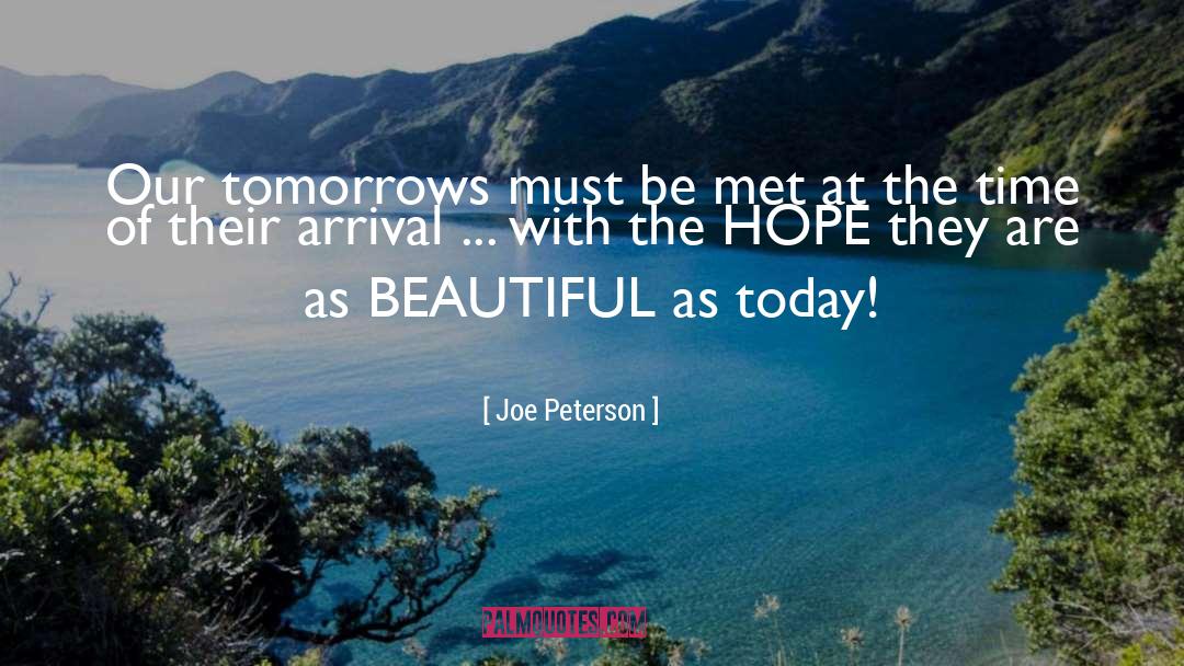 Positive Vibration quotes by Joe Peterson