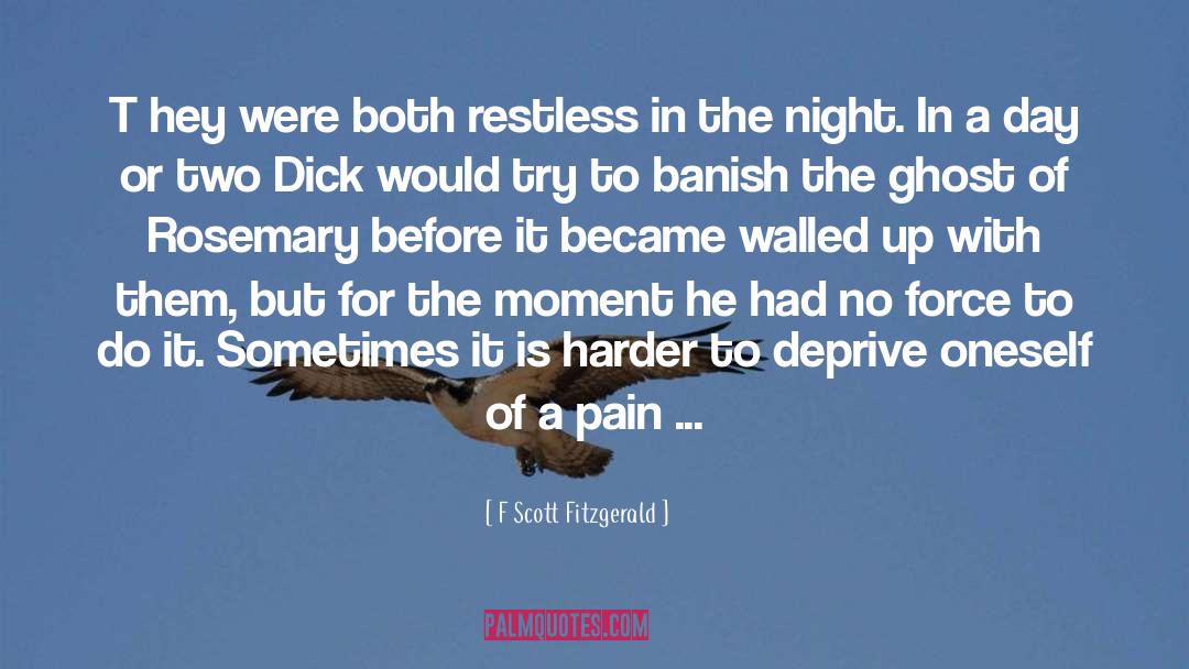 Possessed quotes by F Scott Fitzgerald