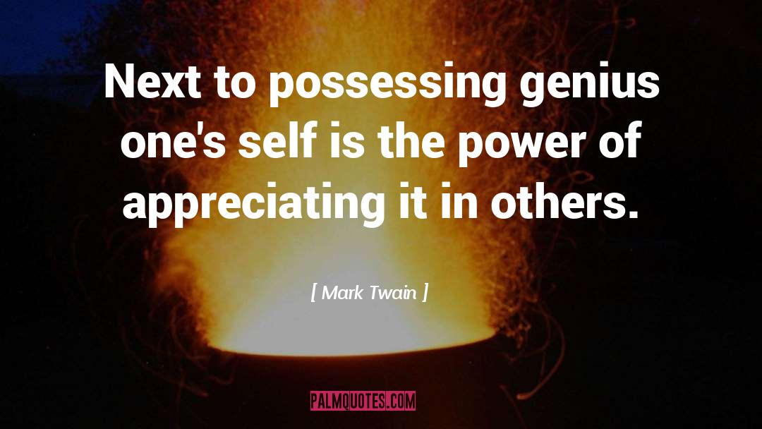 Possessing quotes by Mark Twain