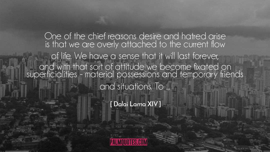 Possessions quotes by Dalai Lama XIV