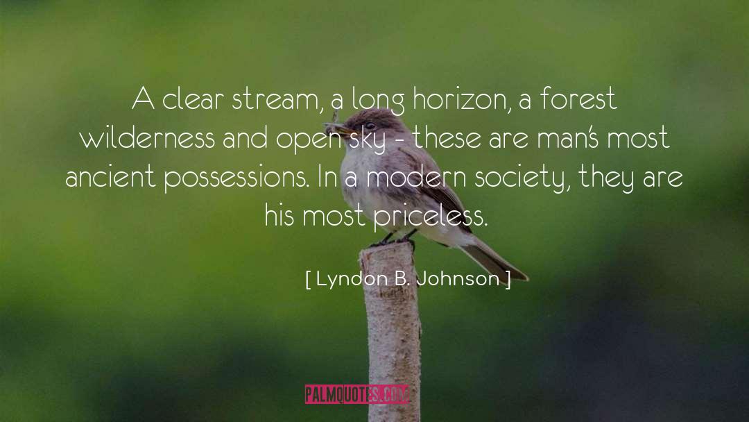 Possessions quotes by Lyndon B. Johnson