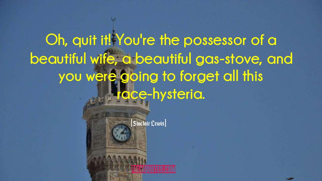 Possessor quotes by Sinclair Lewis