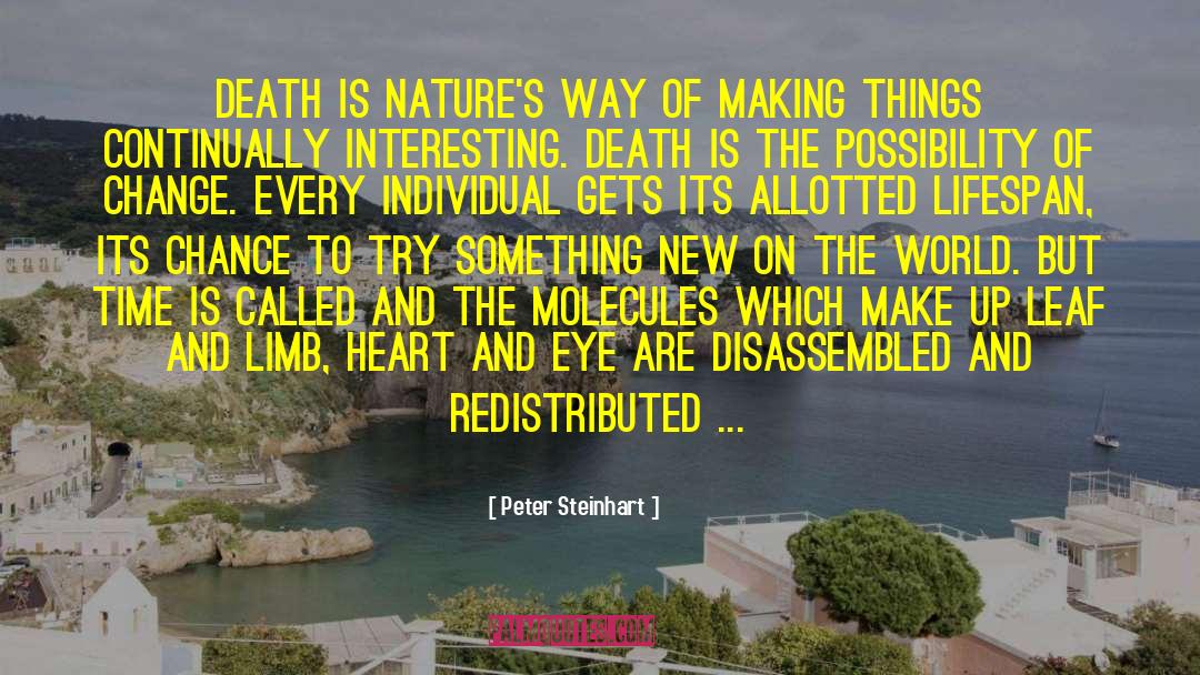 Possibility Of Change quotes by Peter Steinhart