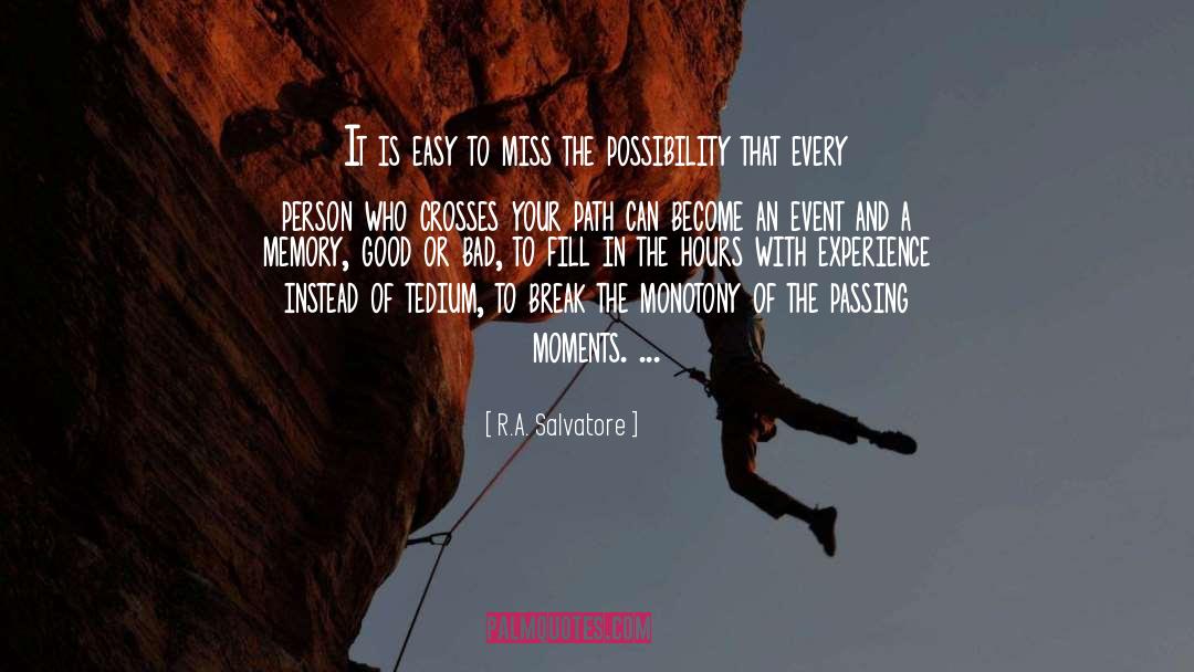 Possibility To Become An Idol quotes by R.A. Salvatore