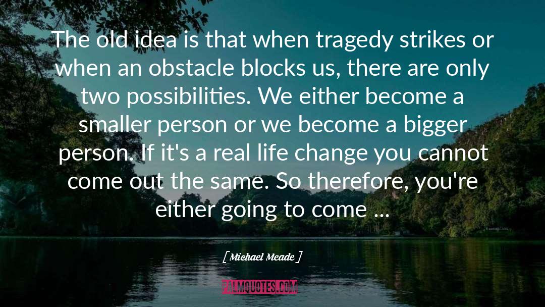 Possibility To Become An Idol quotes by Michael Meade