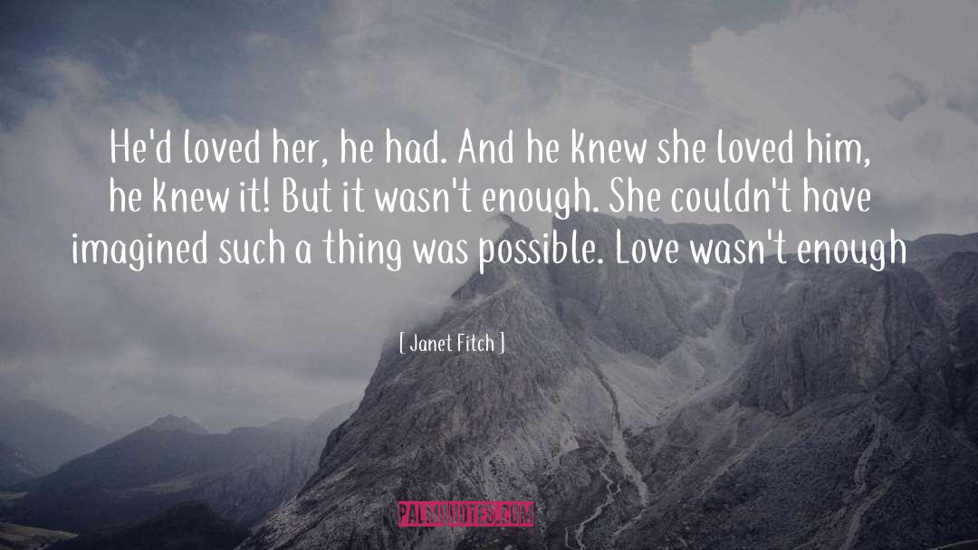 Possible Love quotes by Janet Fitch