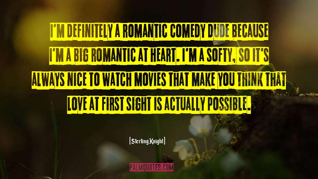 Possible Love quotes by Sterling Knight