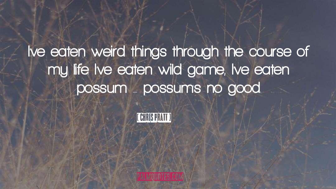 Possum quotes by Chris Pratt