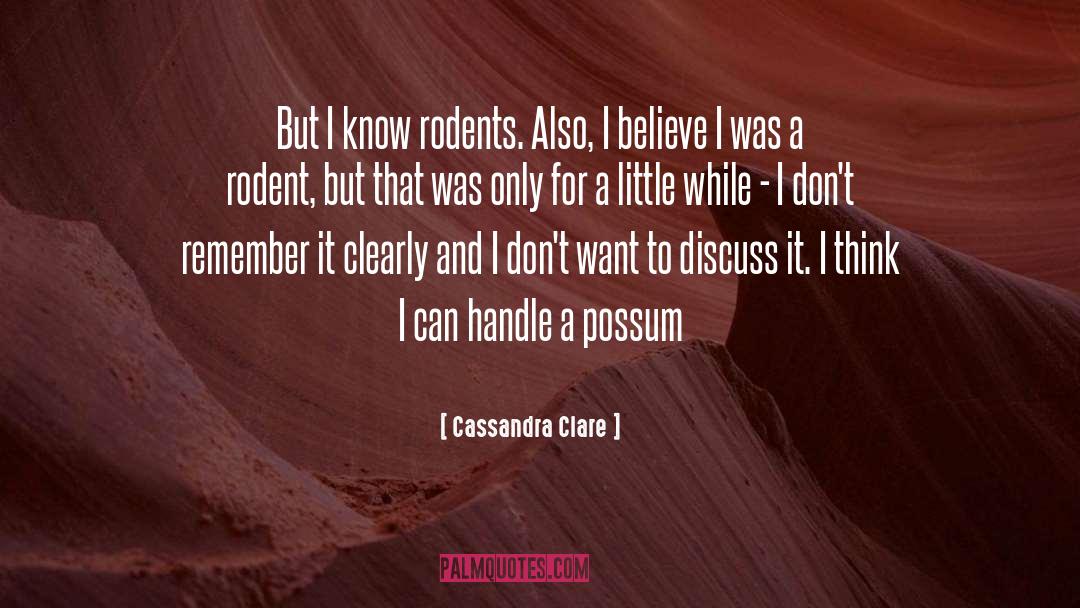 Possum quotes by Cassandra Clare