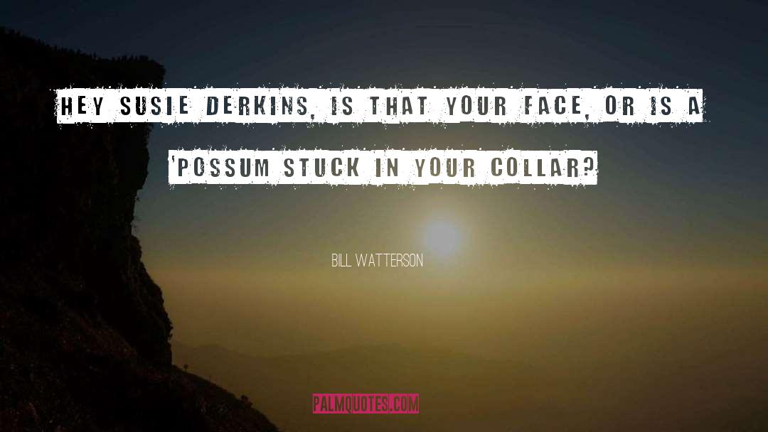 Possums quotes by Bill Watterson