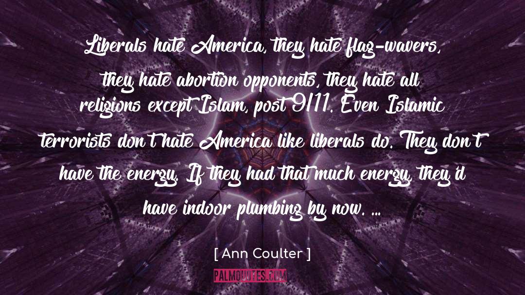 Post 9 11 quotes by Ann Coulter