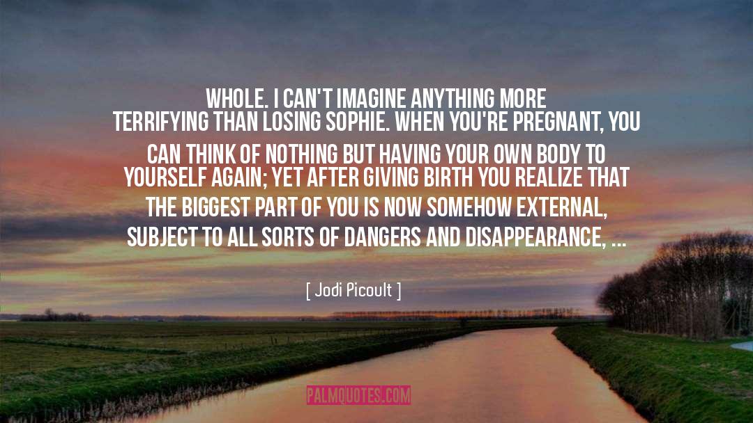 Post Baby Body quotes by Jodi Picoult