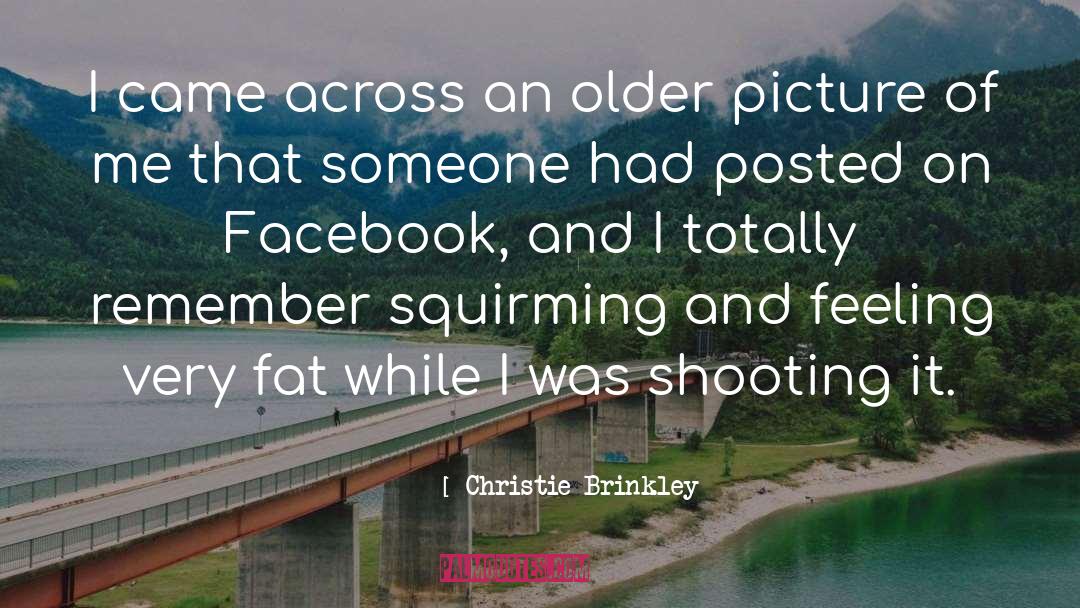 Posted quotes by Christie Brinkley