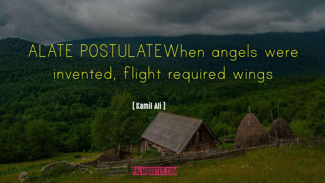 Postulate quotes by Kamil Ali